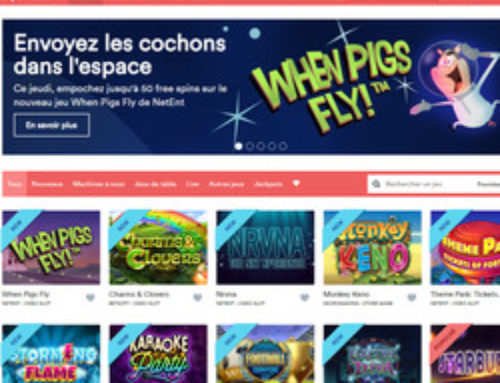 Zoom sur Stakes Casino